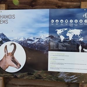 Signage Alpine chamois, 2021-05-29