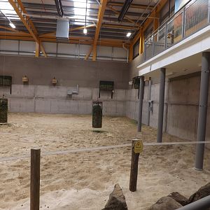 Indoor Ground Level Viewing