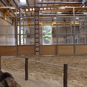 Indoor Ground Level Viewing