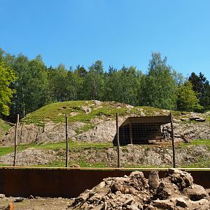 Alpine ibex paddock and part of the Alpine marmot exhibit, 2021-05-29