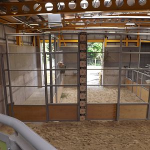 Indoor High Level Viewing