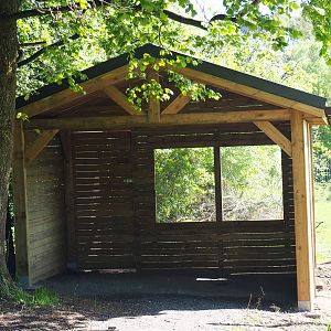 Viewing shelter American Plains bison and Central European red deer paddock, 2021-05-29