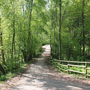 Trail from the Alpine and bison area to the moose exhibit, alongside the Eurasian brown bear forest, 2021-05-29
