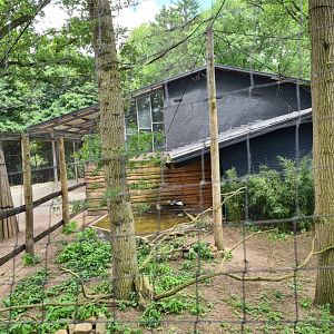 Grey crowned crane aviary