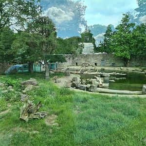 Polar bear exhibit - the nice side