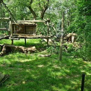 Malayan sun bear enclosure