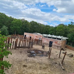African elephant separation exhibit - overview
