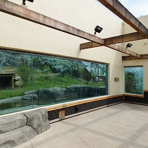 Jun. 2021 - New! Wild Asia - Second Sumatran Tiger Exhibit Viewing