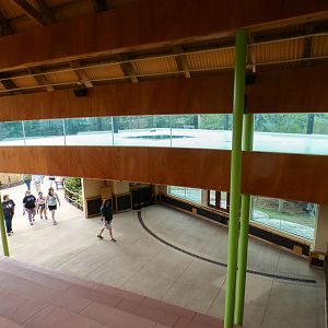 Jun. 2021 - New! Wild Asia - First Sumatran Tiger Exhibit - Demonstration Seating