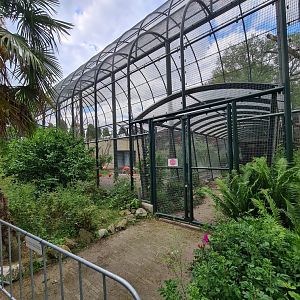 Urucu - South American aviary walkway