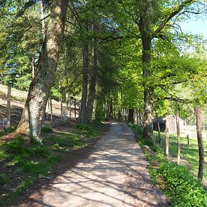 Trail between paddocks, 2021-05-29