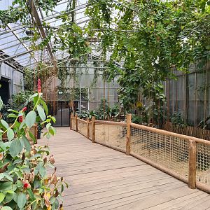 Aldabra giant tortoise greenhouse - as seen from other side of the greenhouse
