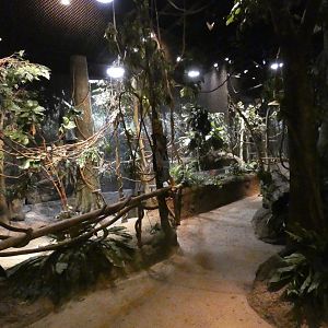 Habitat Africa, The Forest Building - Jun. 2021