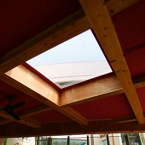 Jun. 2021 - New! Wild Asia - First Sumatran Tiger Exhibit - Overhead Window