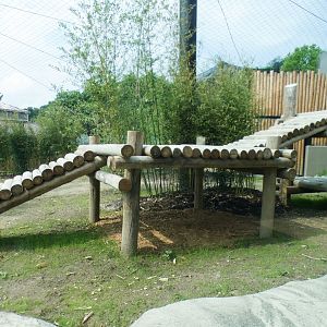 Jun. 2021 - New! Wild Asia - First Sumatran Tiger Exhibit