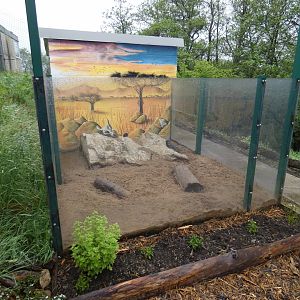 Meerkat enclosure