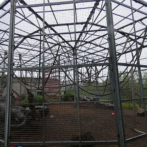 Chimpanzee outdoor enclosure