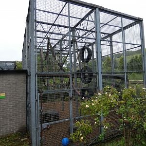 Second Chimpanzee outdoor enclosure