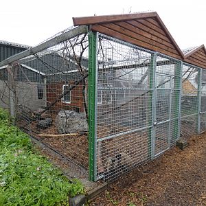 Capuchin enclosure