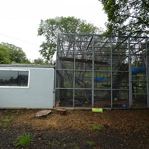 Rhesus macaque enclosure