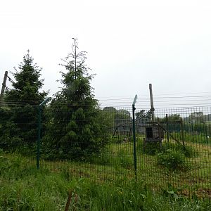 Former gibbon enclosure
