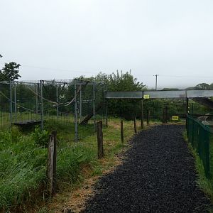 Macaque enclosure