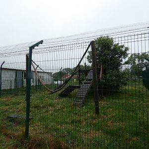 Black-and-white ruffed lemur enclosure