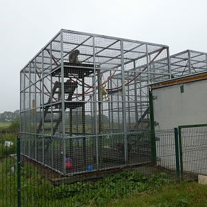 Japanese macaque enclosure