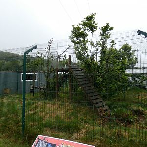 Brown lemur enclosure