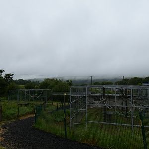 View across primate area