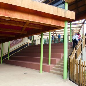 Jun. 2021 - New! Wild Asia - First Tiger Exhibit - Demonstration Seating