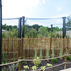 Jun. 2021 - New! Wild Asia - First Tiger Exhibit