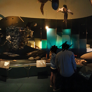 Islands to Ice - Tasmanian Museum and Art Gallery