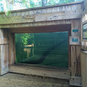 Wild Florida - North American River Otter Exhibit