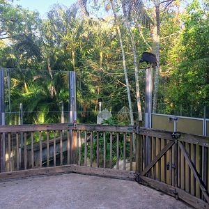 Wild Florida - North American River Otter Exhibit