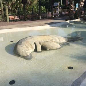 Paws On - Indian River Play Lagoon