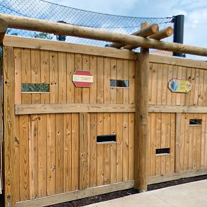 Jun. 2021 - New! Wild Asia - First Sumatran Tiger Exhibit - First Viewing