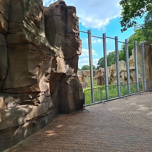 New bonobo enclosure - large viewing window