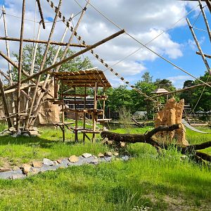 New bonobo enclosure - look into the viewing window
