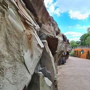 New bonobo enclosure - Impressive rock work