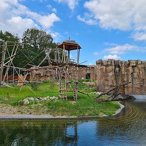 New bonobo enclosure - Left island