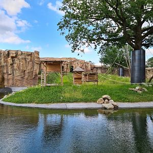 New bonobo enclosure - right island