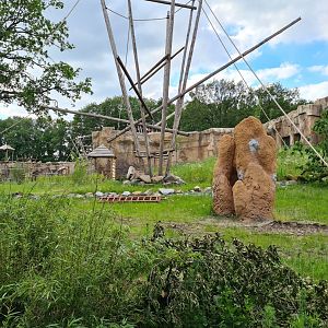 New bonobo enclosure - Right island