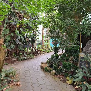 Interior of  tropical house
