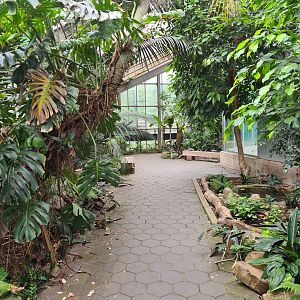 Interior of tropical house