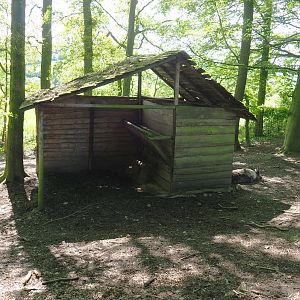 Domestic reindeer shelter, 2021-05-29