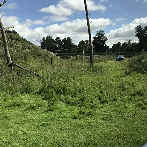 Barbary macaque enclosure