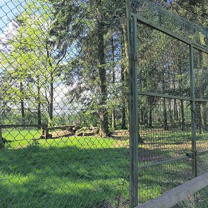 First Mackenzie Valley wolf exhibit, 2021-05-29