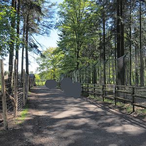 Trail between the Mackenzie Valley wolf exhibits and the Sika deer/Yak/Llama paddock, 2021-05-29