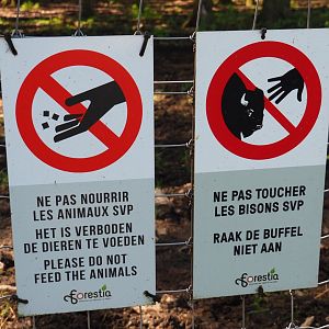 Signs Please do not feed or touch the wisent, 2021-05-29